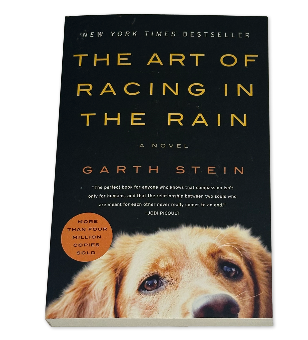 The Art of Racing in the Rain by Garth Stein - Used Paperback