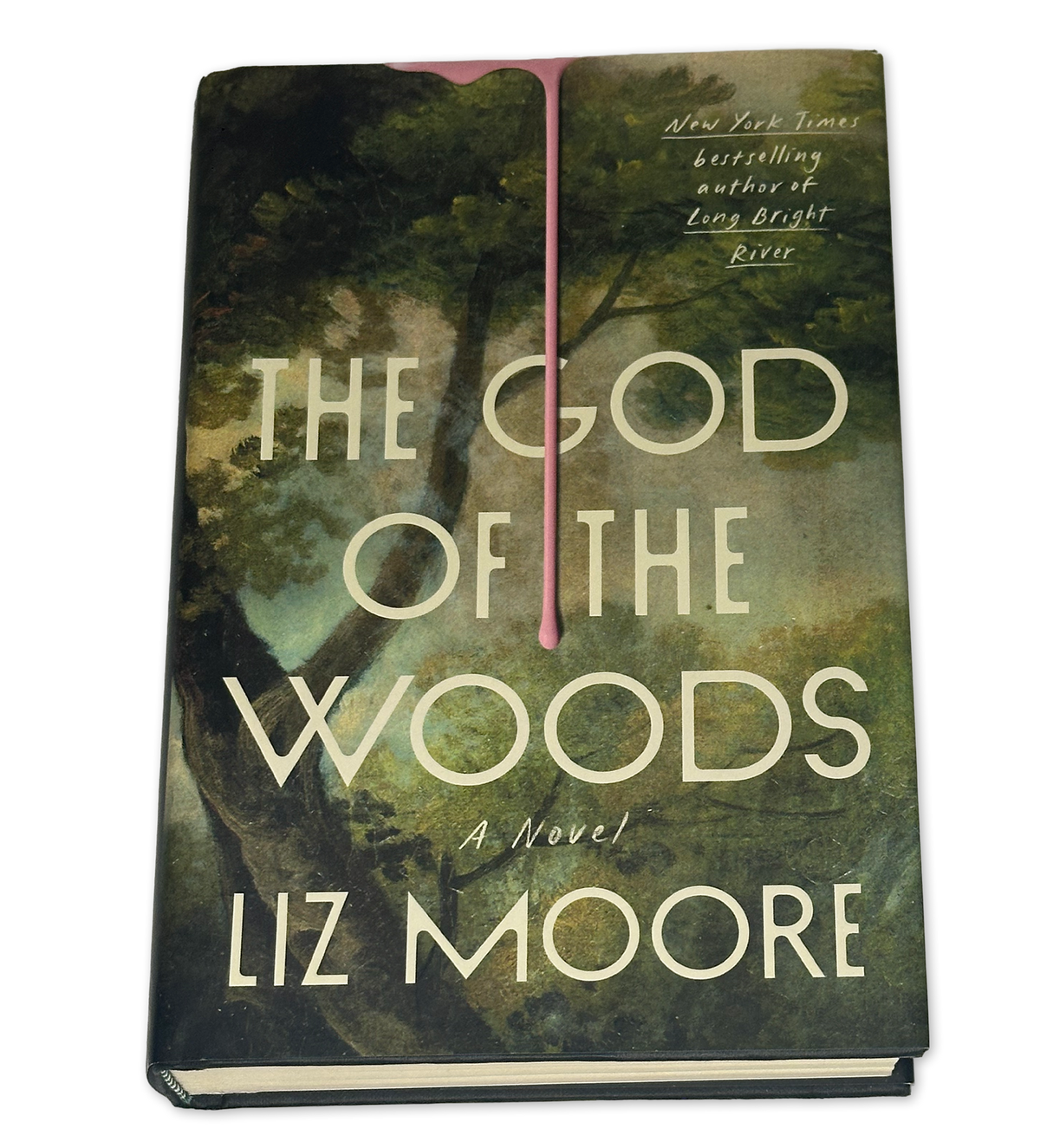 God of the Woods by Liz Moore - Used Hardcover